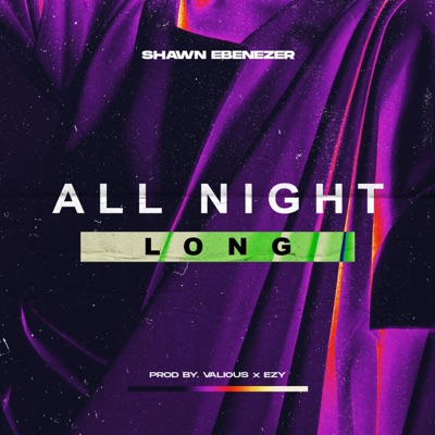 All Night Long - Single