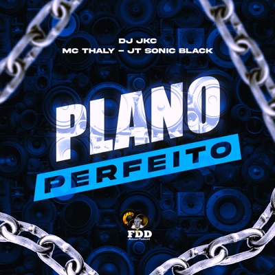 Plano Perfeito (feat. Mc Thaly) - Single