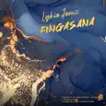 Fingassana