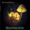 Fungi - Divine Matrix lyrics