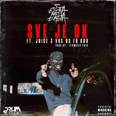 SVE JE OK (feat. Juice, Vox 93 Fu Kru & Flowdeep) - Single