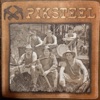 Piksteel - Bid Vir My