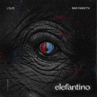 Elefantino - Single - L'Elfo & Niko Pandetta