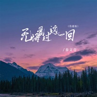 无悔爱过这一回 (伤感版) - Single - 秦文音