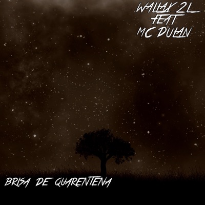 Brisa de Quarentena (feat. Mc Dulan) - Single
