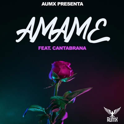 Ámame (feat. Cantabrana) - Single