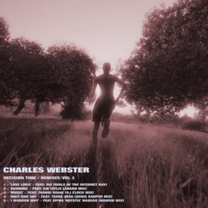 Wait & See (feat. Terra Deva) [Denis Karpov Remix]