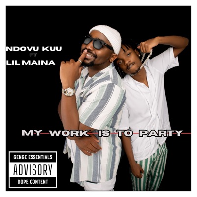 MY WORK IS TO PARTY (feat. Lilmaina) - Single