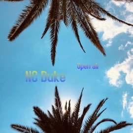 External doors NC Duke