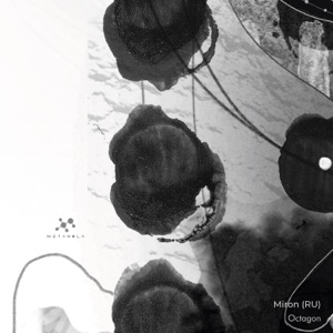 Octagon - Single