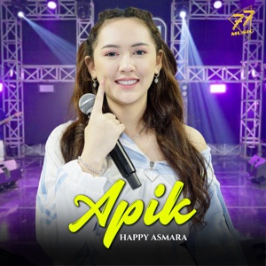 APIK Album Art