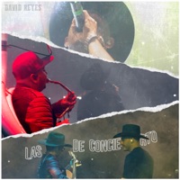No Me Se Rajar - Single - David reyes