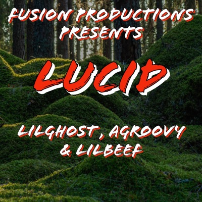 L U C I D