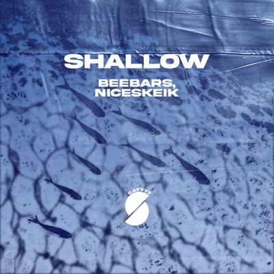 Shallow - Single