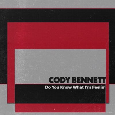 Do You Know What I'm Feelin' - Single