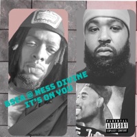 Its On You (feat. Ness Divine) - Single - Bsea