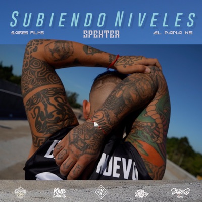 Subiendo Niveles - Single