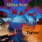 Turner (Extended Version) - Ulexa Acer lyrics