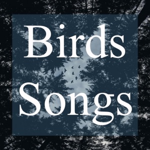 Birds Songs