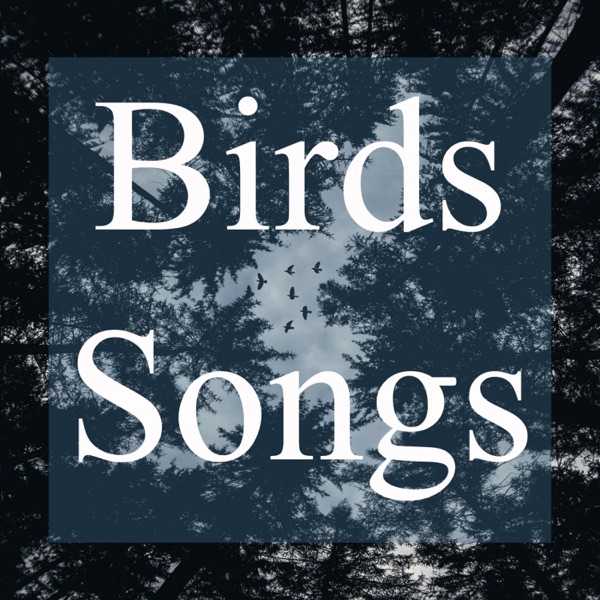 Birds Songs
