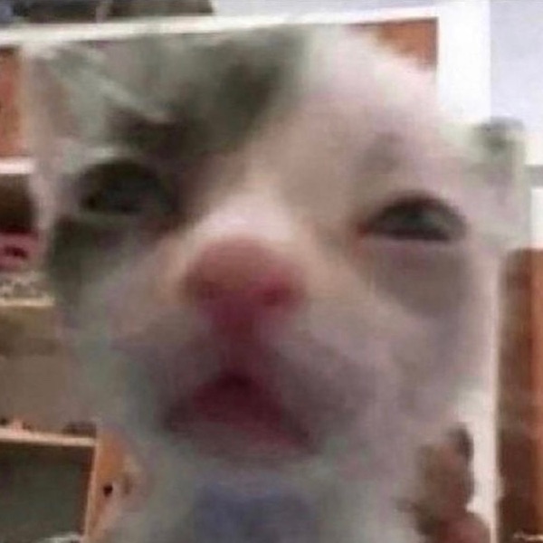 C**t