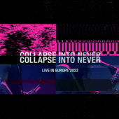 Collapse Into Never cover