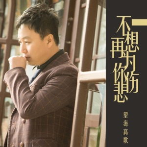 不想再为你伤悲 - Single