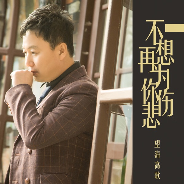 不想再为你伤悲 - Single