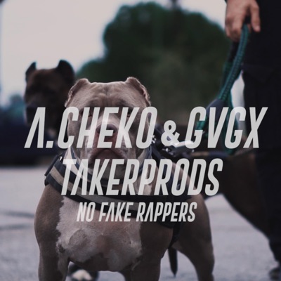 NO FVKE RAPPERS (feat. GVGX & TakerProds) - Single