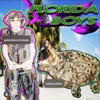 FLORIDA BOYS #YOLO (feat. cholorofilm) - Single - GABEDOESNTSLEEP