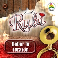 Lendario Rubi Saudade - song and lyrics by Banda Vírus Musical
