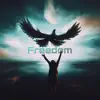 Stream & download Freedom - Single