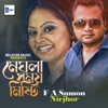 Meghla Somoy Misty - Single