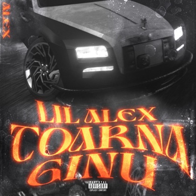 Toarna Ginu - Single