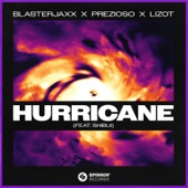 Hurricane (feat. SHIBUI) artwork