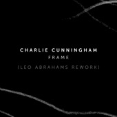 Frame (Leo Abrahams Rework) artwork