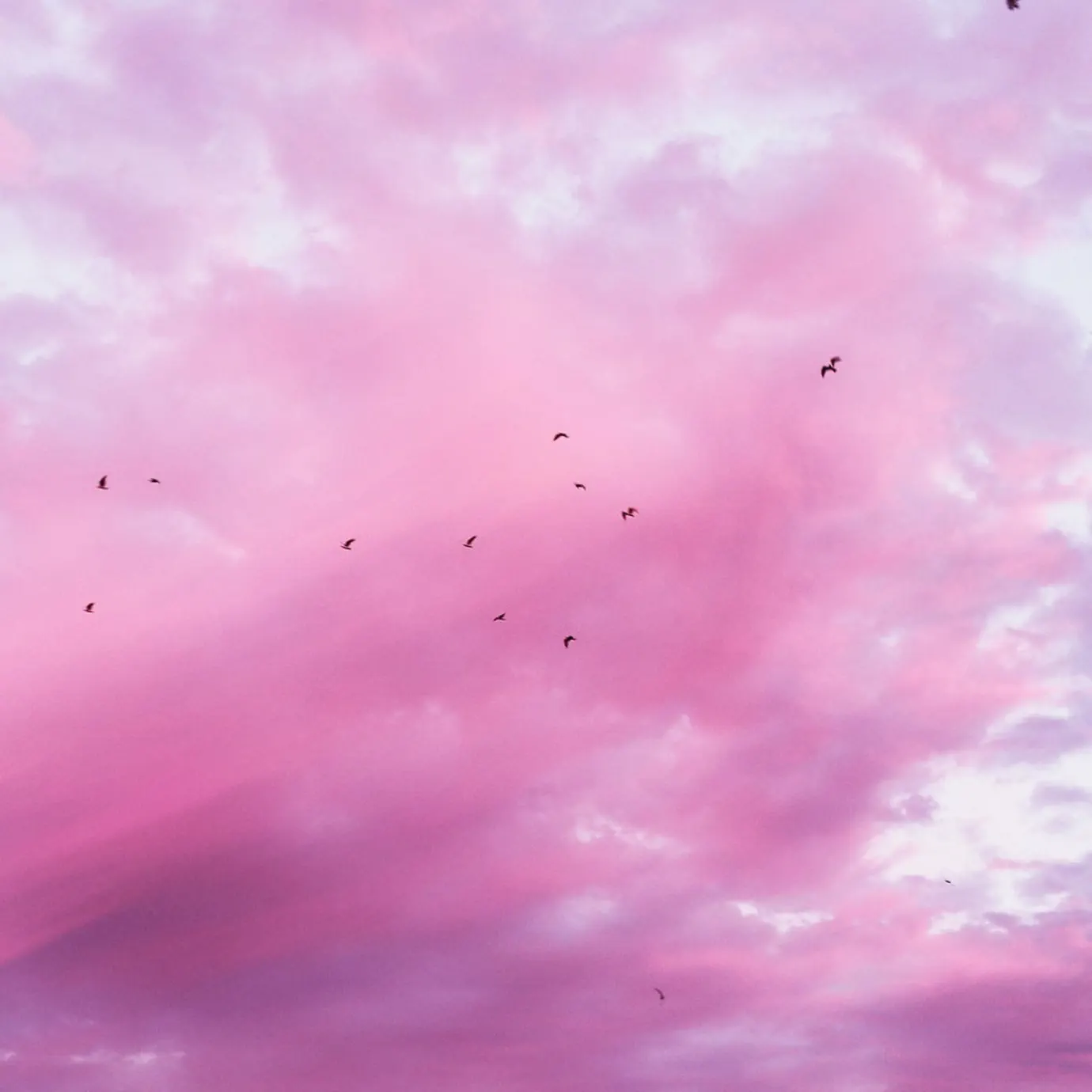Розовое небо что это. Бледно розовые облака. Розовое небо с облаками. Розовое небо что это. Розовое облако.