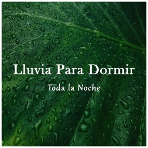 Lluvia para Dormir Toda la Noche