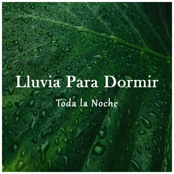 Lluvia para Dormir Toda la Noche
