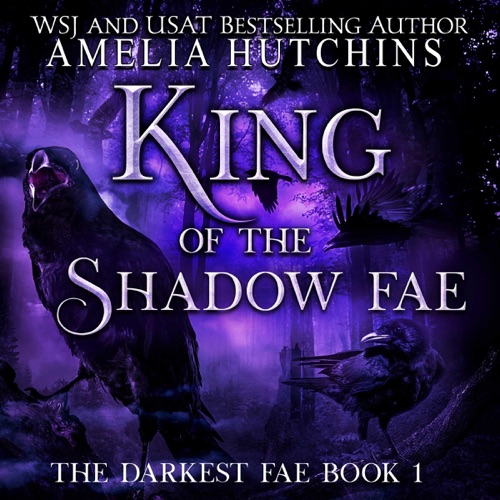 King of the Shadow Fae: The Darkest Fae, Book 1 (Unabridged) cover