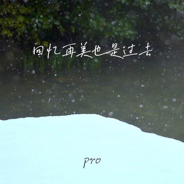 回忆再美也是过去 - Single