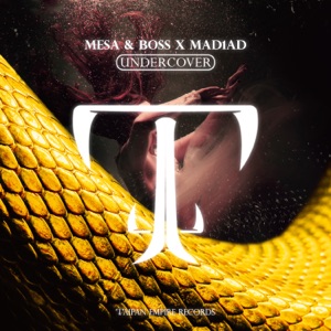 UnderCover - Single