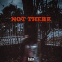 Not There - Single - Poet Vin
