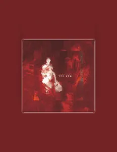 收听 Roni Amir רוני אמיר、观看音乐视频、阅读小传、查看巡演日期等 ！