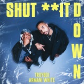 Shut It Down artwork