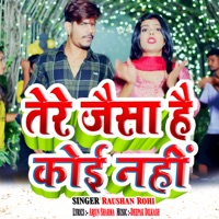 Tere Jaisa Hai Koi Nahi - Single - Raushan Rohi