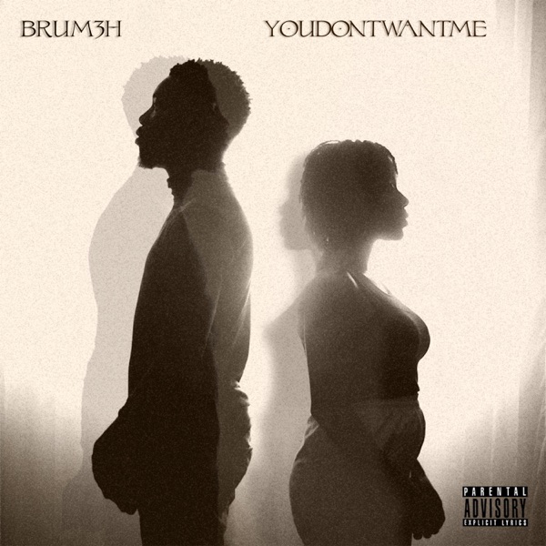You Don't Want Me - Single