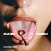 Dua Lipa - Houdini (Extended Edit) artwork