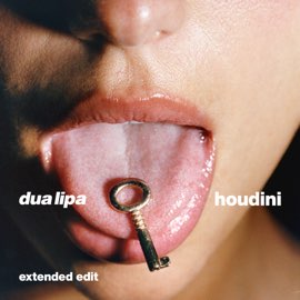 Dua Lipa – Houdini (Extended Edit) – Single (2023) [iTunes Match M4A]