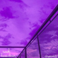 Dreams - Single - seek lavender